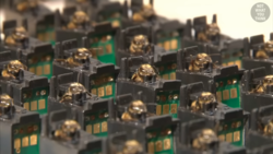 Wykrywacz bomb zasilany pszczołami