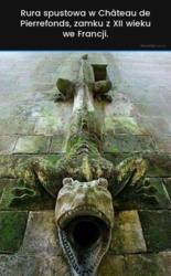 e513db8b-b336-4253-823c-381fcfe8f720