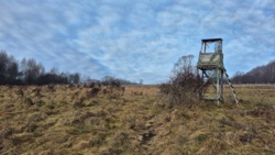 f2c425ff-bb92-4a9d-8cfc-81d2f0cf8ffa