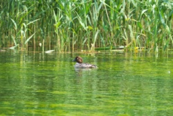 4f9390d0-713c-45f2-9f85-2157fdc18e0b