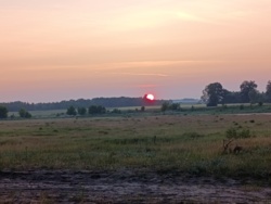 417101e8-1fee-4b12-b18c-028ba26d9b48