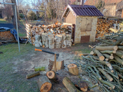 49c8b006-e210-4871-b0bf-3f42ef344562