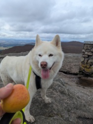 a6ea8f69-9575-47ca-b6c3-d88fa35cb719