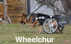 807b4ad2-ab08-4a77-b985-19056f6b8d52