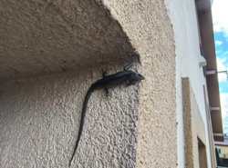 ce8b8f84-4db6-4a09-998f-33a5e32602f4