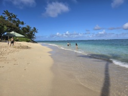 01546741-0b68-444b-8022-30bf60c9ffb7