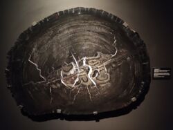 e2c7bb90-f0ee-4c7e-a3ea-7e724bf6f7d9