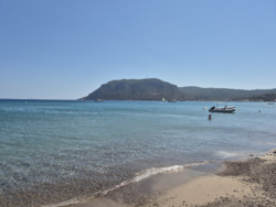 ae10c45e-11b6-44d9-8039-c28096f46fc7