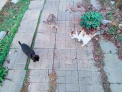 a72940cd-1456-46c9-87f5-6b440355bd6b