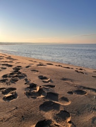 1d95931d-b9a2-4a0c-8132-5520ca8dd731