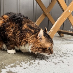 02ce8b27-0c2c-4130-82b3-02ad33a0ad7c