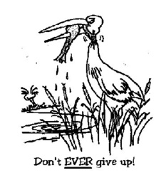 c69e349b-2a8b-4a01-a3ae-e3ae19c97d2a