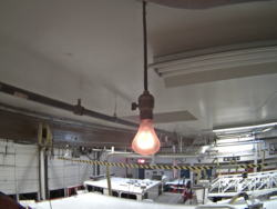 7f18eeac-1136-4924-96c2-fa5363639a86