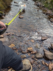 6c782e92-20a9-492f-a263-ee1ec89ac4f7