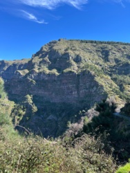 8dda8b64-d0f4-406d-b5d5-630edf281b1c