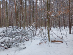 619119a5-2b78-4fbc-a2bc-10949655f2a7