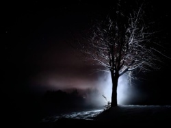 079198a0-2232-43ce-9bca-c8842ec83ec1