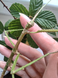 b3a9eec6-d712-4d18-8b75-164508bafe8b