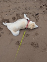 8ec178d7-0770-4cdf-853b-495aaee6316b