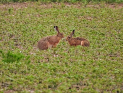 eb3131b3-8813-49f5-a6b6-95d222f8bb54