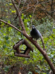 84ba0103-0227-41ce-9f27-7e5684000c3a