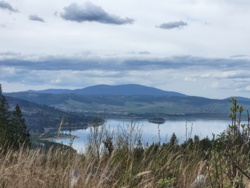 49e3ae53-8543-4e90-bf96-16213016d47d