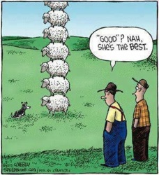 0a14fc44-81a5-4b10-a921-a5837645d4e5