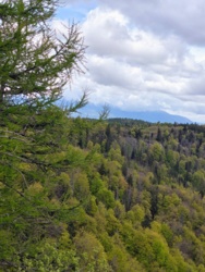 8337c79a-a424-40dc-bd85-b7d47e1aa051