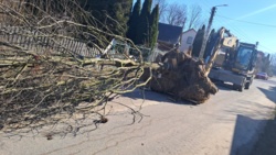 cfa06df3-b56e-467c-b2a2-5828c43bc0ed