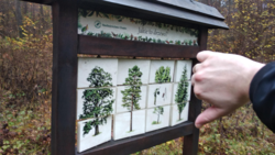 b297d4e7-e7c4-4744-9aac-c15401936e8d