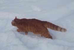 be6277d3-a49e-4b74-90ce-5786b70e2a9a