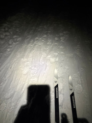 53850207-56d3-4cc3-9550-dc030cd61957