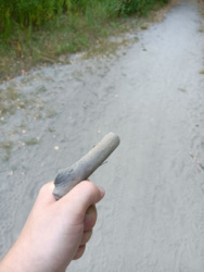 60bc8f55-58e4-4736-9df0-583f16ec8ad6