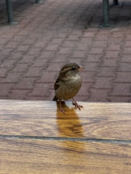 2fc4bab8-01e2-4843-bc11-b5b6549107b4