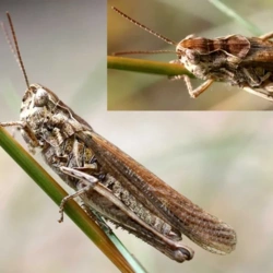 fbf1a6ef-1501-4991-88a6-9e726e1dc1d3