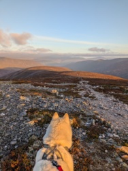 b5f723d0-265a-45d6-9d86-d70a0de956e7