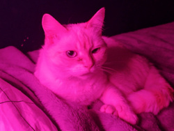 f1ce2a60-7367-4e71-bed6-668b627e81dd