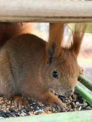 031e7953-c7fa-40bc-ab72-53a23bd6263a