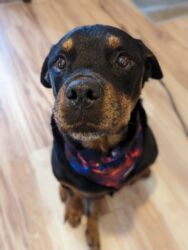 9ac6622d-48e7-4ff6-be2d-d682b264b60c