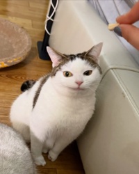 77f47cc4-948e-423b-a7c4-b52abc3eedda