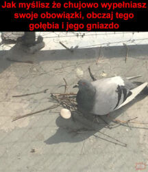 9e6e2e44-776b-4730-9f2c-28f71e47e844