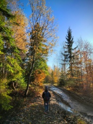 c74daea9-ccca-47a4-98dc-7d4108679495