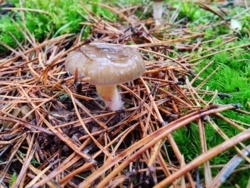 d776a12f-e58e-4544-97ab-b980935c5814