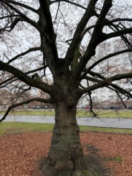 730a6dbd-14b6-4ba3-90f5-594596ef3ab4