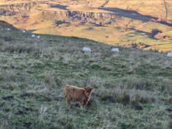 81b0f9bb-329f-4ecd-b4df-a82cbc119722