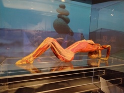 052967a8-0c1f-43e8-b41d-94df7374c902