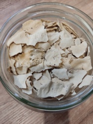 ac7bdfe8-f48f-461c-a023-32dd9ab65ba3