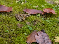 4e04e87b-b332-4de4-a244-aa578e4b7aef