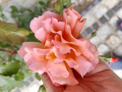 2d40ca99-753e-4263-978a-586dcd1db352