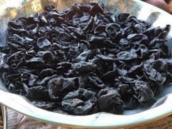 94a12ee2-b4de-4e96-8446-0ece3521654d